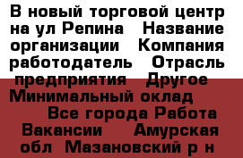 В новый торговой центр на ул Репина › Название организации ­ Компания-работодатель › Отрасль предприятия ­ Другое › Минимальный оклад ­ 10 000 - Все города Работа » Вакансии   . Амурская обл.,Мазановский р-н